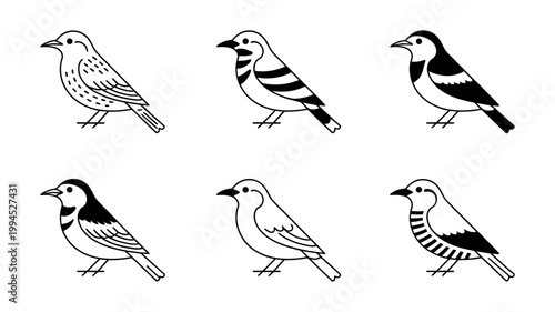 Collection of six diverse bird illustrations isolated on white background line art style