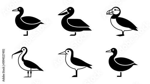 Six black silhouette birds including duck puffin and wader on white background simple vector