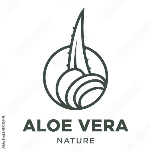 Aloe vera plant leaf and cross section logo design  natural health symbol icon