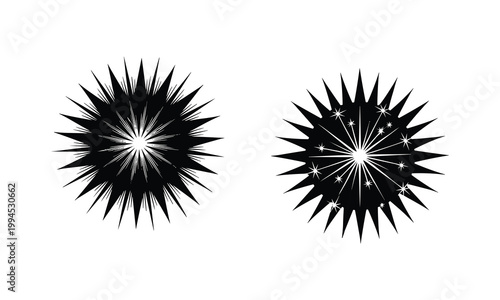 Abstract spark starburst vector silhouette explosion with line art details black and white.