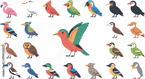 Flat minimalist bird illustration set arranged in grid featuring colorful tropical and woodland birds with central focal parrot composition