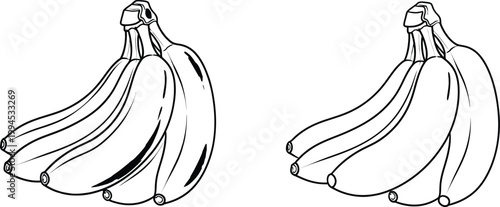 Two bananas a simple black and white line drawing of tropical fruit