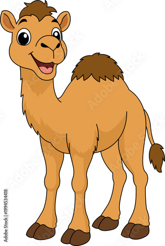 Camel cartoon illustration