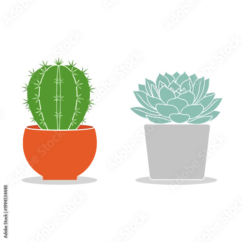 Two Potted Succulent Plants: Green Cactus and Blue Echeveria in Modern Pots