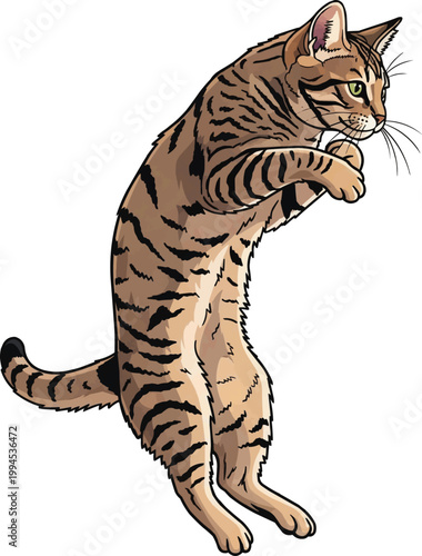 Chausie Cat jumping leaping athletic action pose illustration