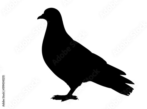 A black silhouette of a pigeon against a pure white background
