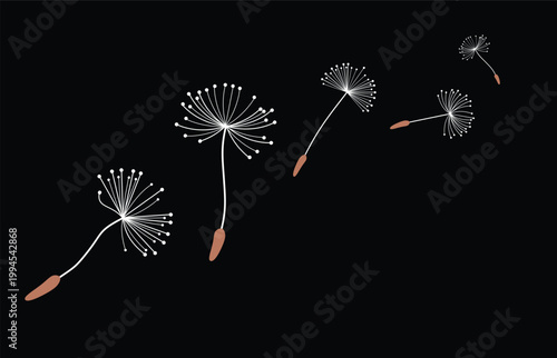 Wild flower dandelion with free space for text.  Vector flower for background, dandelion flying wall decal children's room 
