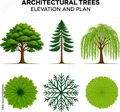 Create a realistic kinds of deferent Trees in elevation and plan view for use in architectural drawings vector art with white background.