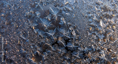 Macro close-up of intricate frost crystals on window. Icy snowflake and fern patterns with golden light. Abstract winter nature background