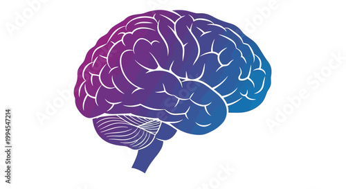 A stylized human brain illustration in vibrant purple and blue, ideal for conceptual designs