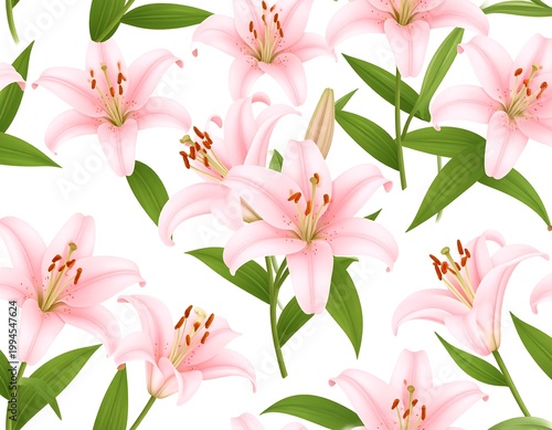 Pink lilies flowers on white background.