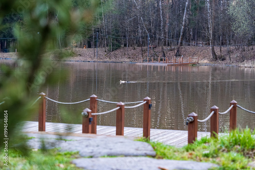  Tranquil scene featuring a serene pond in a park, bordered by lush trees and highlighted by a wooden bridge. The reflective water creates a peaceful ambiance suitable for relaxation.