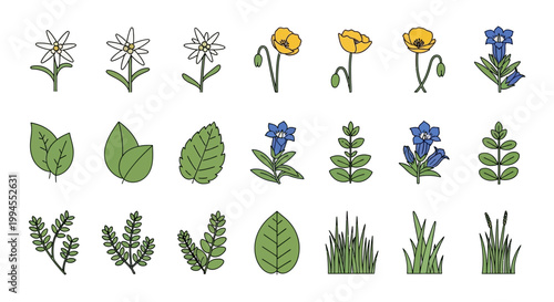 Illustration of various flora and vegetation elements for diverse graphic applications