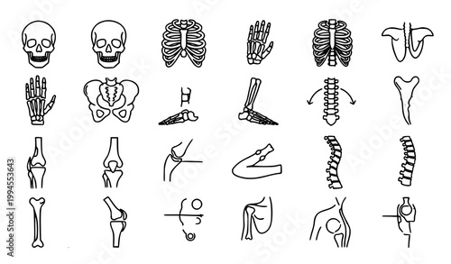 Modern orthopedic icon collection with spine and human bone anatomy outline symbols vector design