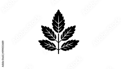 green leaf isolated on white