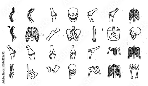 Orthopedic and spine icon set with human bone anatomy symbols in clean medical line vector illustration