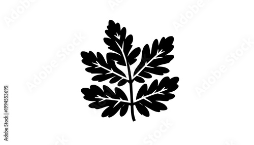 black and white flowers