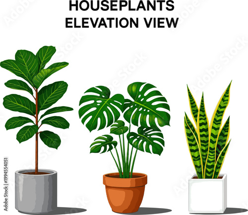 Create a realistic Vector houseplants in elevation view for use in architectural drawings - 2D vector art with white background..