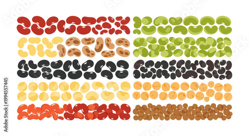Assortment of Beans and Legumes, Healthy Food Ingredients Collection