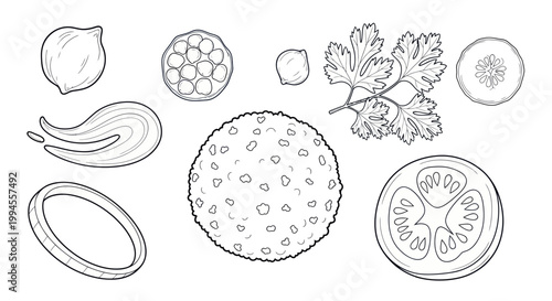 Falafel Ingredients and Components - Line Drawing