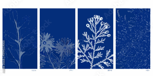 Four indigo botanical studies arranged in a vertical grid format