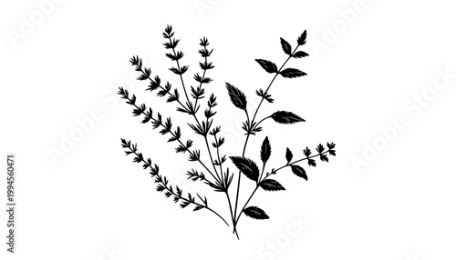 black and white flowers