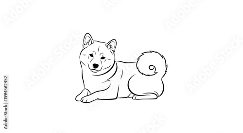 Shiba Inu Dog Line Art Illustration, Cute Puppy Portrait, Minimalist Pet Drawing