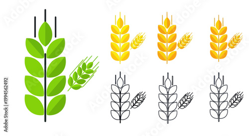 Wheat Ears Icons: Green, Golden, and Outline Variations