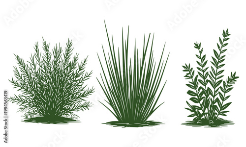 Lush bushes and thickets, hand-drawn sketch. Vector illustration. Grass and shrubby trees, set isolated on a white background.