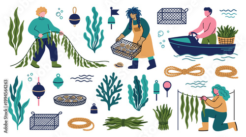 Sustainable seaweed farming and harvesting operations with people collecting and processing marine plants from the ocean for food and industry
