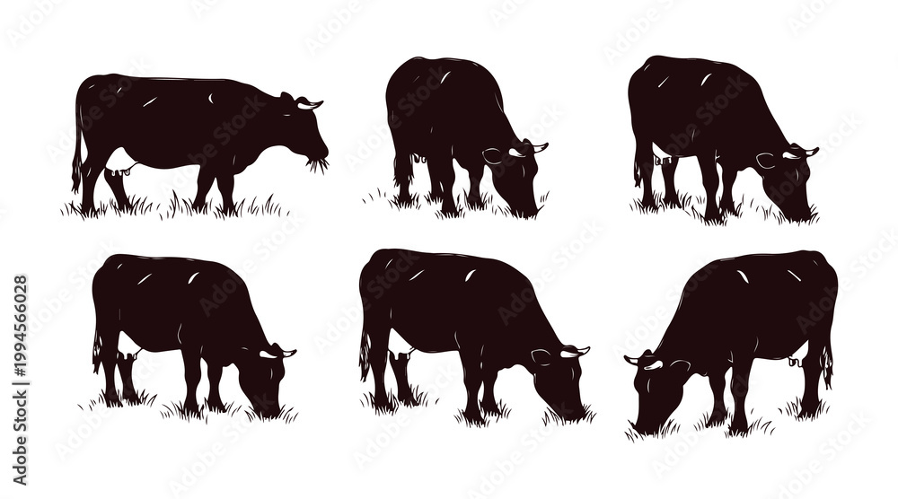 Fototapeta premium Cows are seen chewing on grass in a series of hand-drawn illustrations.