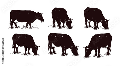 Cows are seen chewing on grass in a series of hand-drawn illustrations.
