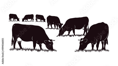Cows munch on grass in a set of hand-drawn illustrations.
