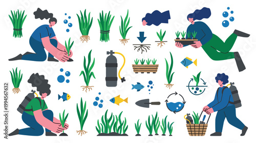 People planting aquatic plants in aquarium water with scuba gear and fish illustration