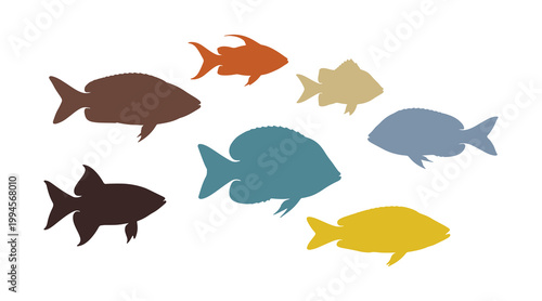 A vibrant collection of fish, all isolated on a white background
