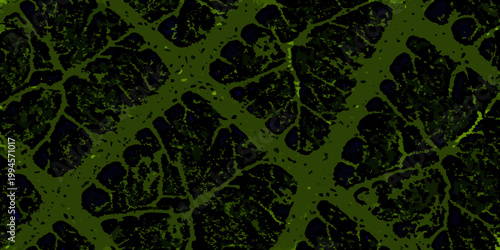 Abstract green and black pattern resembling organic cellular structure