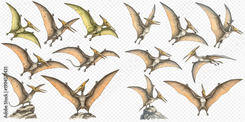 Collection of various Pterodactylus flying and resting in different poses on a white background.