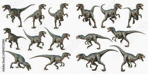 Set of realistic velociraptor dinosaurs in various dynamic poses on a transparent background.