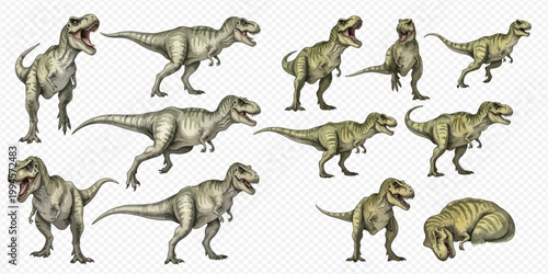 Set of realistic Tyrannosaurus Rex dinosaurs in various poses, isolated on a transparent background.