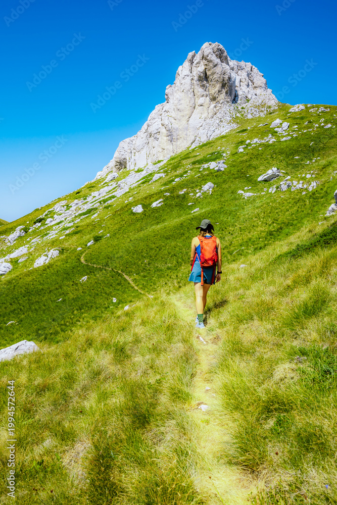 Fototapeta premium Sedlo Pass and Boljske Grede mountain massif in Durmitor National Park, Montenegro. Hiking in mountain from prevoj saddle to Sedlena greda