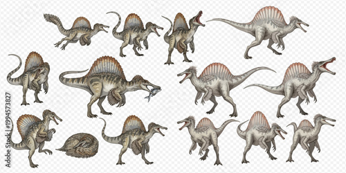 Spinosaurus dinosaur in various poses and actions, including hunting and walking.