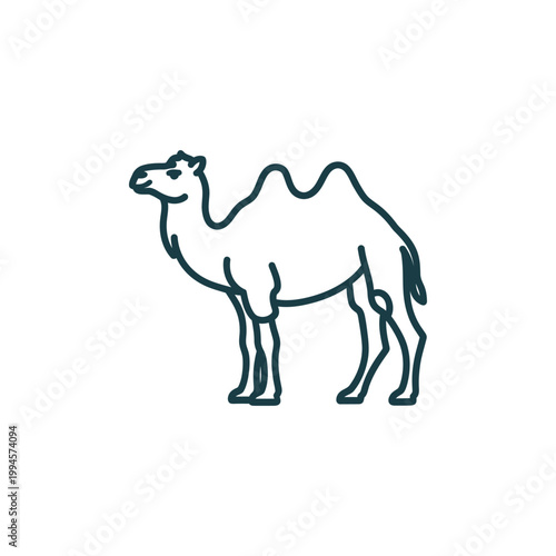 Elegant line drawing of a camel standing in profile