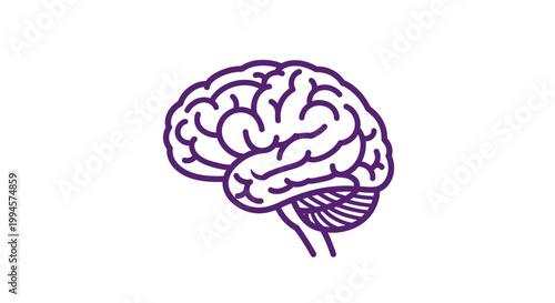 Purple Brain Illustration on White Background Symbolizing Intelligence and Cognitive Function