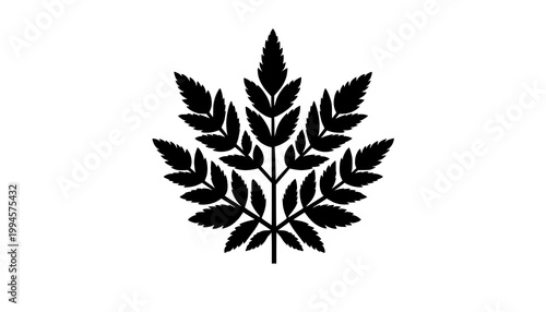 black silhouette of leaves