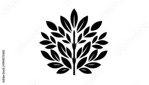 black and white flowers