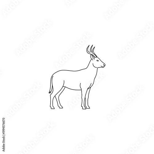 A deer with large antlers standing.