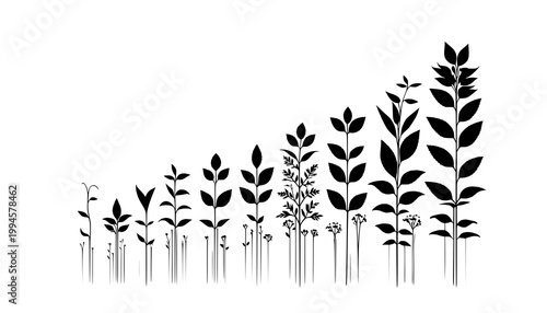 grass silhouette vector