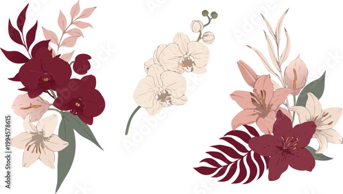 Vibrant colorful floral illustrations of various flowers and blooms on white background