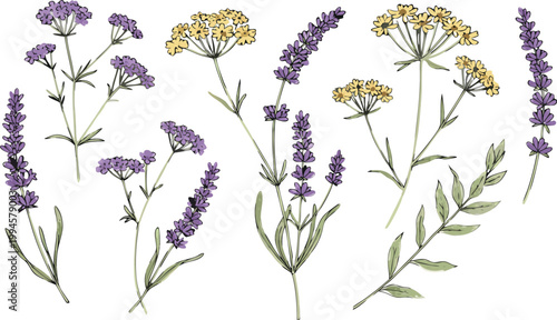 Floral decorative frame with pink and red flowers and green leaves on white background