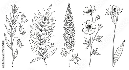 Elegant set of hand-drawn botanical illustrations, showcasing a variety of delicate flower and plant sketches in classic black and white line art